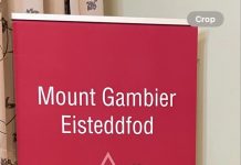 Eisteddfod attracts fantastic voices