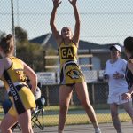 lcfnl_418153_01.JPG