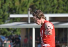 Tigers untroubled against Hawks