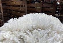 Wool growers urged to check and update details ahead of WoolPoll 2024