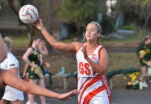 Roosters too strong at home