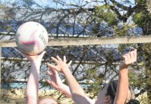 Tigers too strong for young Saints