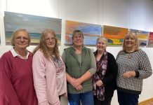 What’s on at the Millicent Library and Gallery