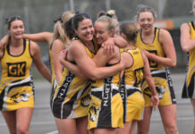 Tigers break premiership drought