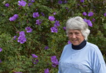 Reflections of a grand champion