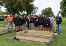 Lions Park continues to grow