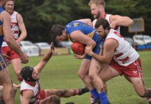 Eagles soar into decider