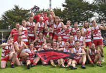 Roosters perched on top