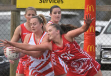 Tigers roar into preliminary final