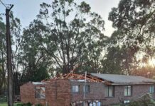 Wild winds causes chaos