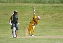 Tigers in form straight up