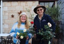 The handy hints of staging roses