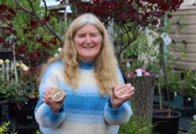 Kitchen whizz works hard for medals