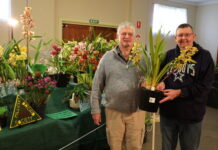 Outstanding orchids present a challenge