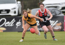 Top sides keep building momentum