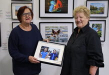 Snapshot of Wattle Range on display