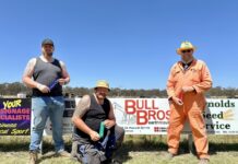 Johnson on top again