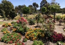 Open gardens delight locals