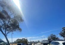 Operation Tribus catches 29 people