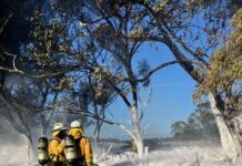 Smoke alert released