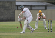 Tigers show no mercy in powerful performance