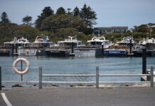 Marina berth lease changes