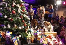 Generous gift for Christmas