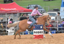 First rodeo for Mount Gambier sporting complex