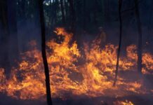 Joanna fire contained, but still burning