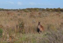 Making coastal protection a priority for visitors