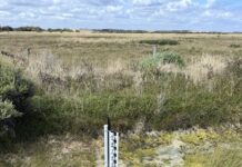 Family drain causes concerns