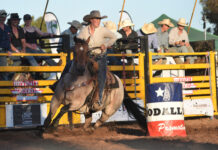 Bumper crowd for Penola rodeo