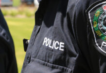 Offenders caught in DV operation