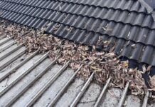 Problem trees need attention