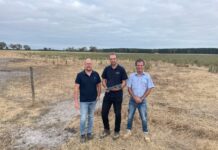 Call to help restore marsh