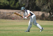 Mozzies butt heads with the Rams