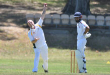 Millicent Naracoorte cricket set to heat up