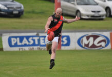 New kennelmates for Bulldogs