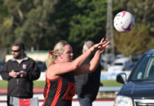 Star mid-courter to lead Bulldogs