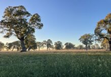 Grants for climate resilience and sustainable agriculture on the table