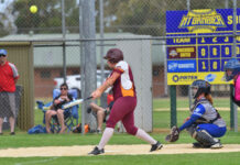 Concordes United best the Bandits