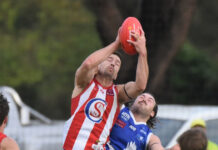 Cats dig claws into Eagles