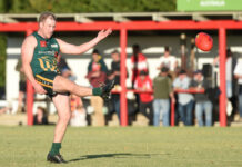 Mozzies ready to sting the competition