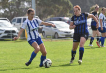 Centrals sits on top early in women’s season