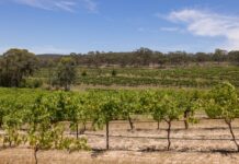 2026 BOWT Awards search for premium wine tourism