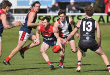 Quality contests on offer