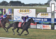 Fourth Millicent Cup win for Walters stable
