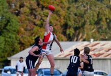 Masterclass at Lucindale