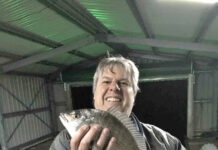 Sharks biting for keen anglers