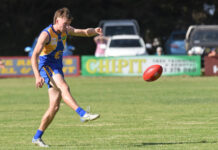 Eagles stretch their wings